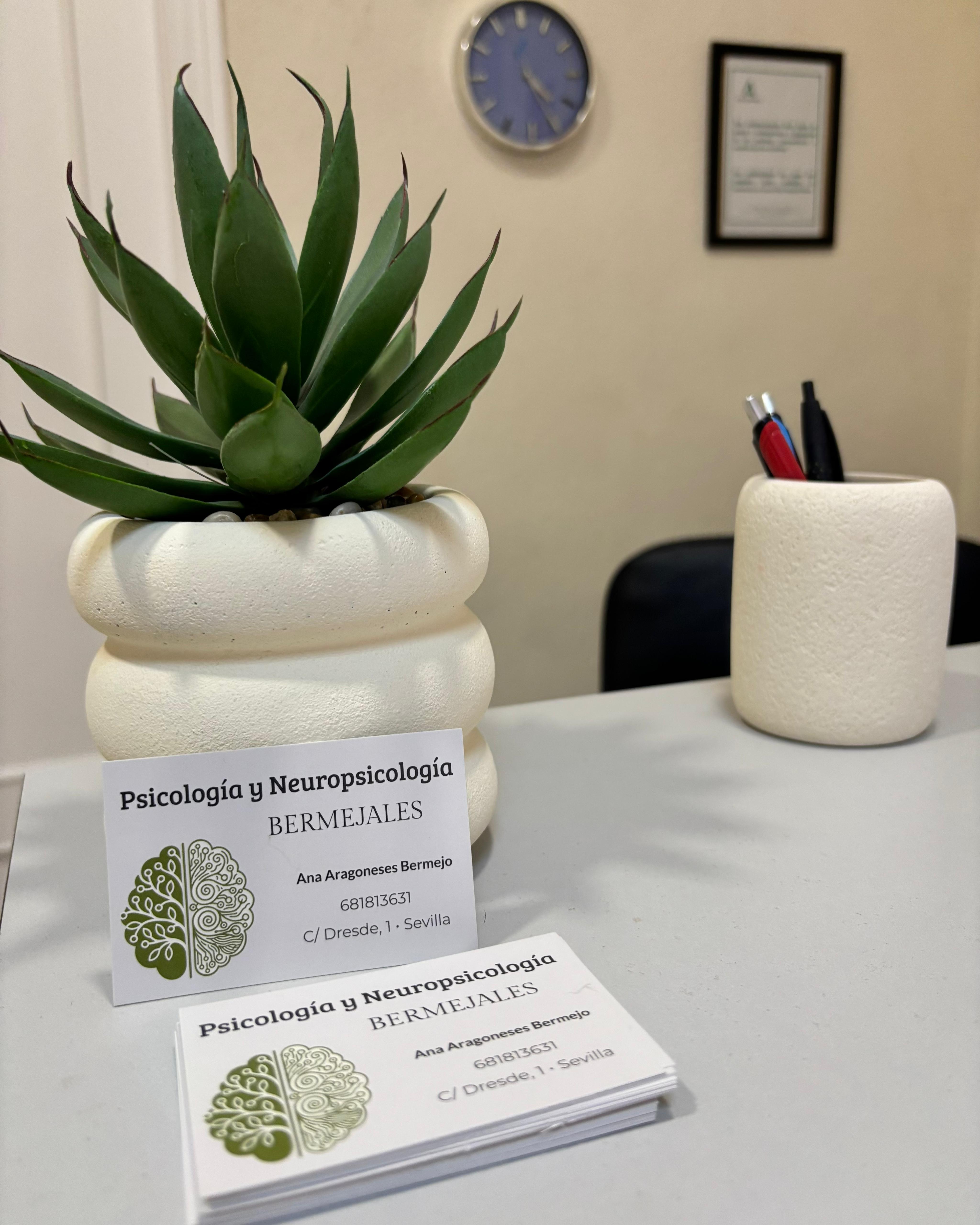 Consulta de Psicología y Neuropsicología Bermejales